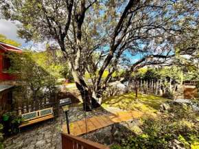 Rural apartment with direct access to the pool